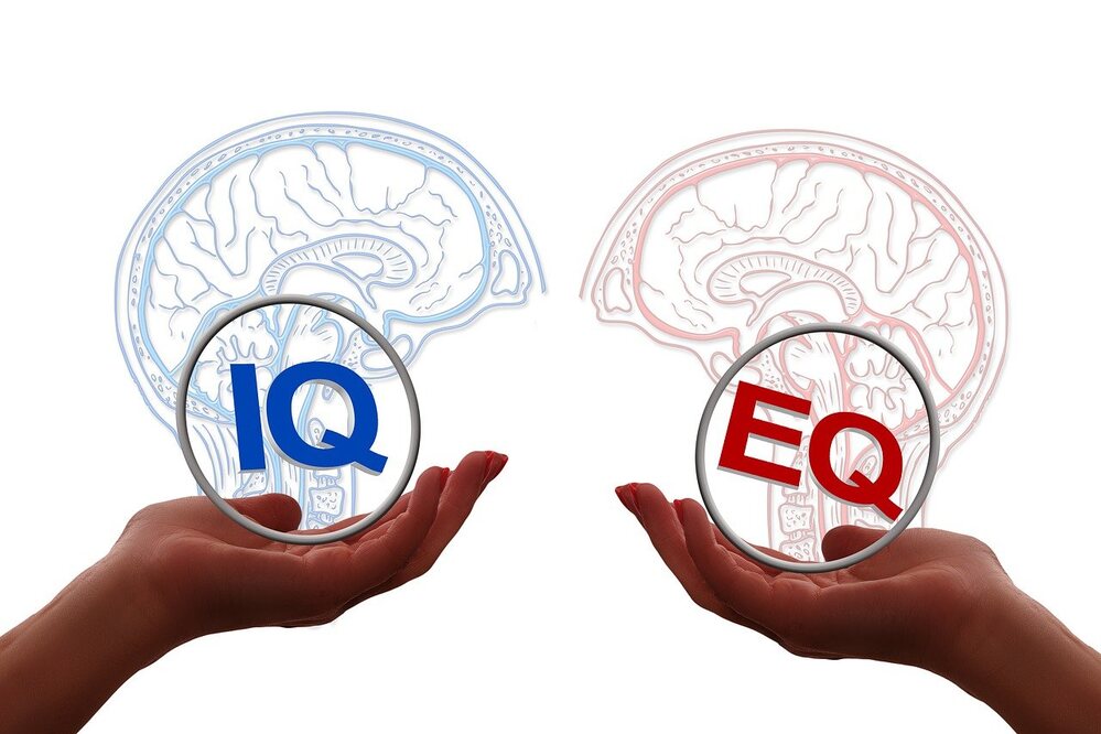 Prioritizing facts over feelings is being depicted by two brains images. One represents reason. The other represents emotion.