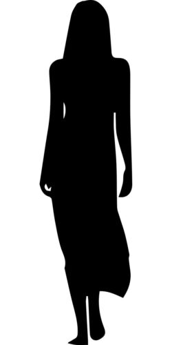 A silhouette of a desirable woman.